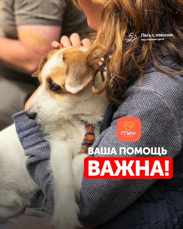 Изображение новости
